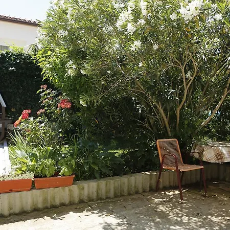 דירה Flora - Two Bedroom Apartment רוביני